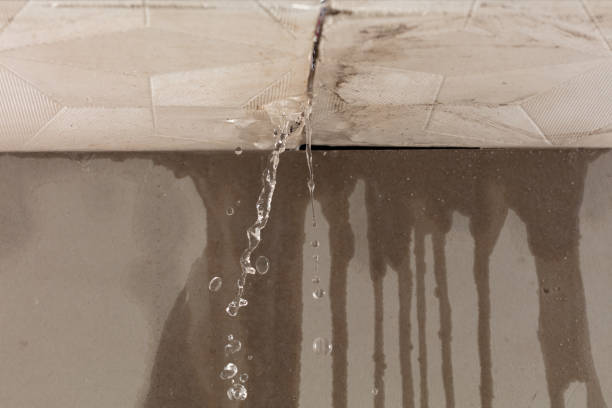 Professional Commercial Water Damage Restoration technician working in Huntland, TN